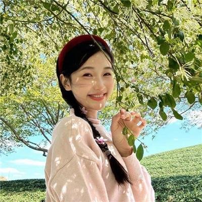 侠盗正传